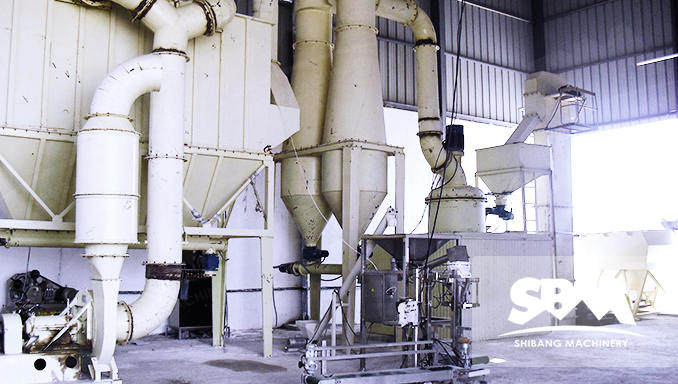 Talc, Calcium carbonate SCM221 Ultrafine Mill in Egypt